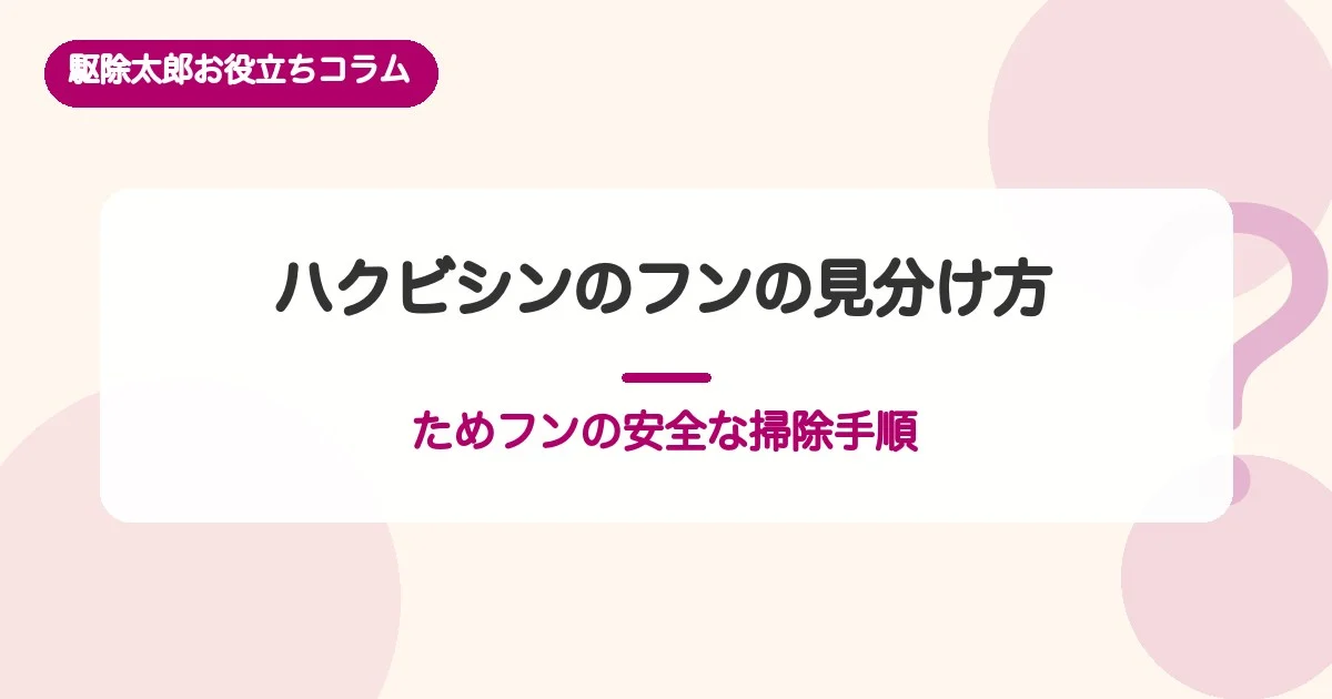 ハクビシンのフンの特徴と見分け方|ためフンの安全な掃除手順と放置リスク
