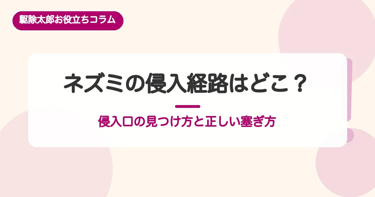 ネズミの侵入経路はどこ？侵入口の見つけ方と正しい塞ぎ方【一覧表】