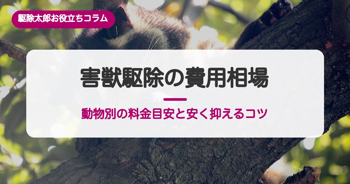 害獣駆除の費用相場ガイド