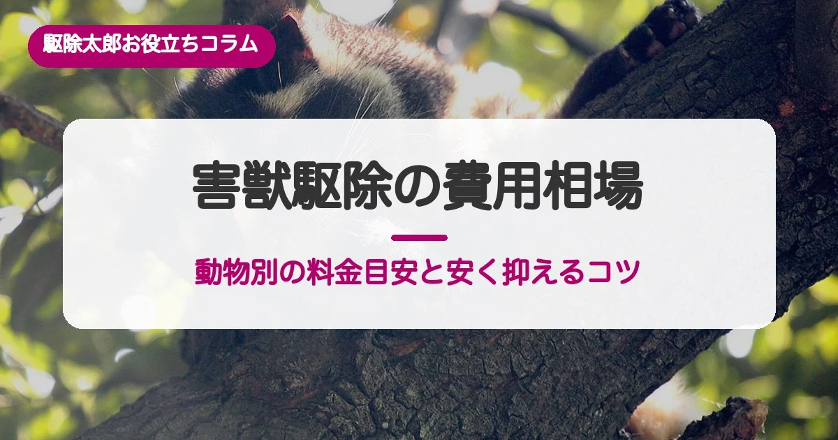 害獣駆除の費用相場