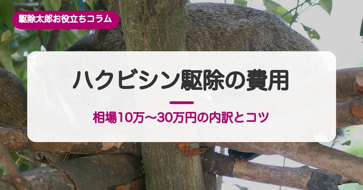 ハクビシン駆除の費用