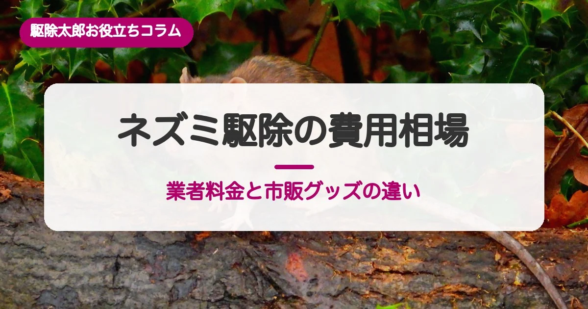 ネズミ駆除の費用相場