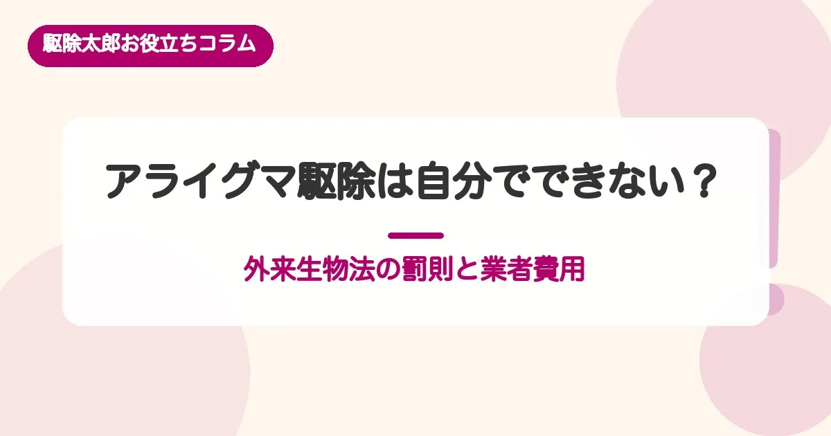 アライグマ駆除は自分でできない？