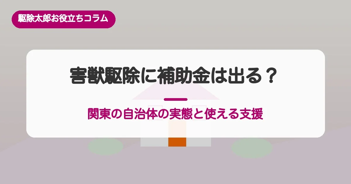 害獣駆除に補助金は出る？関東の自治体の実態と使える支援