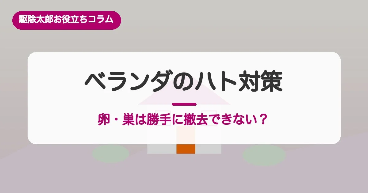 ベランダのハト対策：卵・巣は勝手に撤去できない？