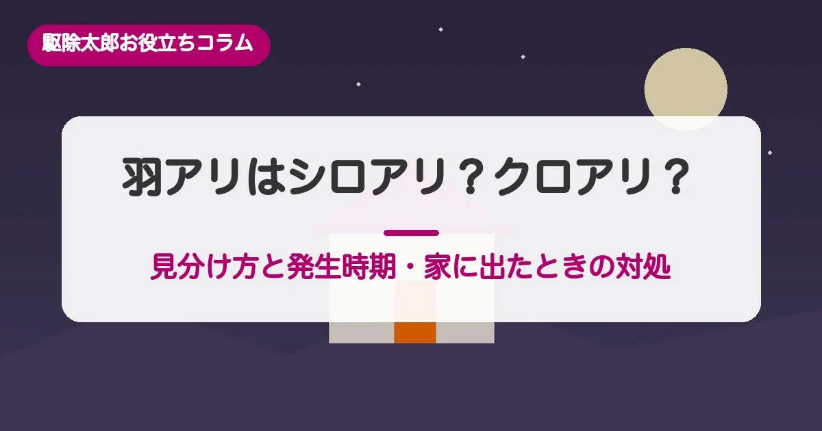 羽アリはシロアリ？クロアリ？見分け方と発生時期、家に出たときの対処