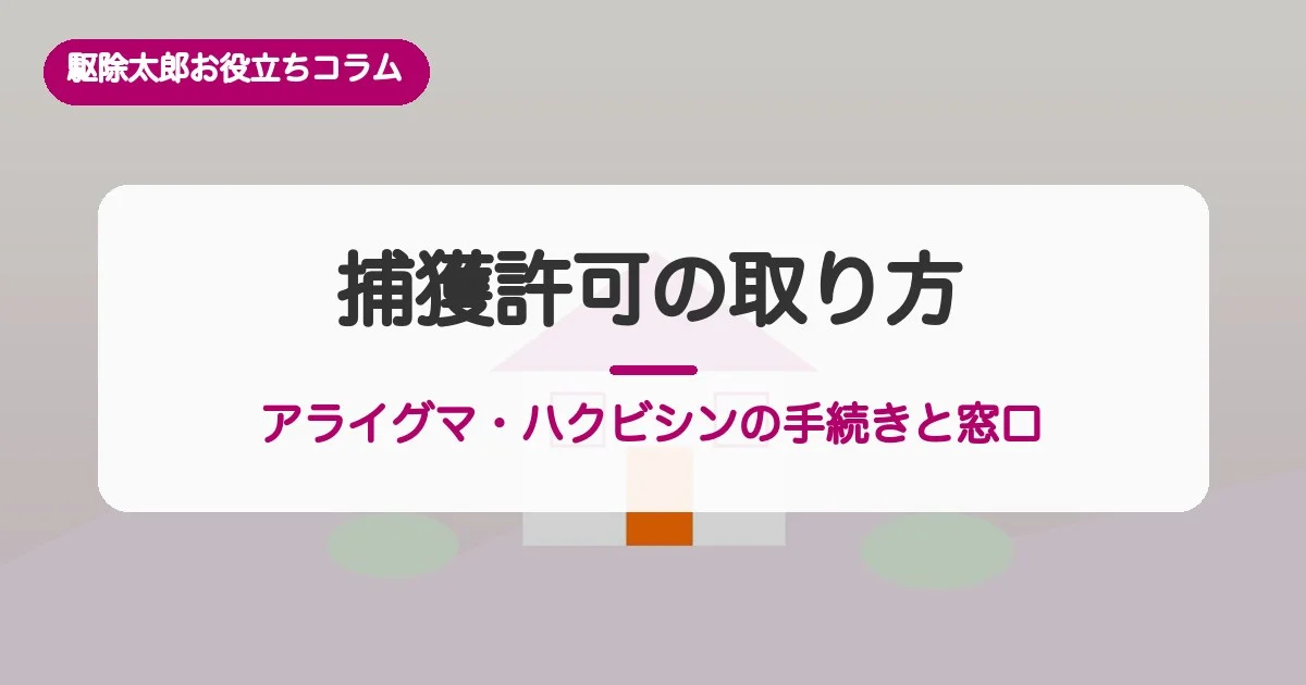 アライグマ・ハクビシンの捕獲許可の取り方｜手続きと東京都の窓口