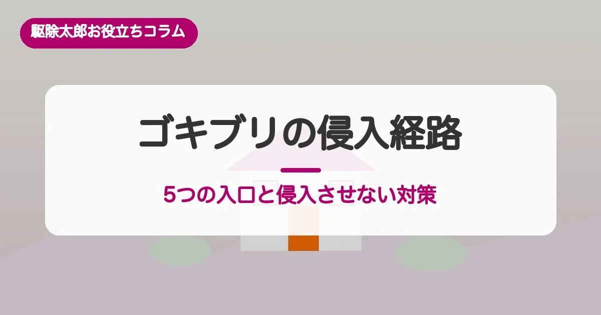 ゴキブリの侵入経路：5つの入口と侵入させない対策