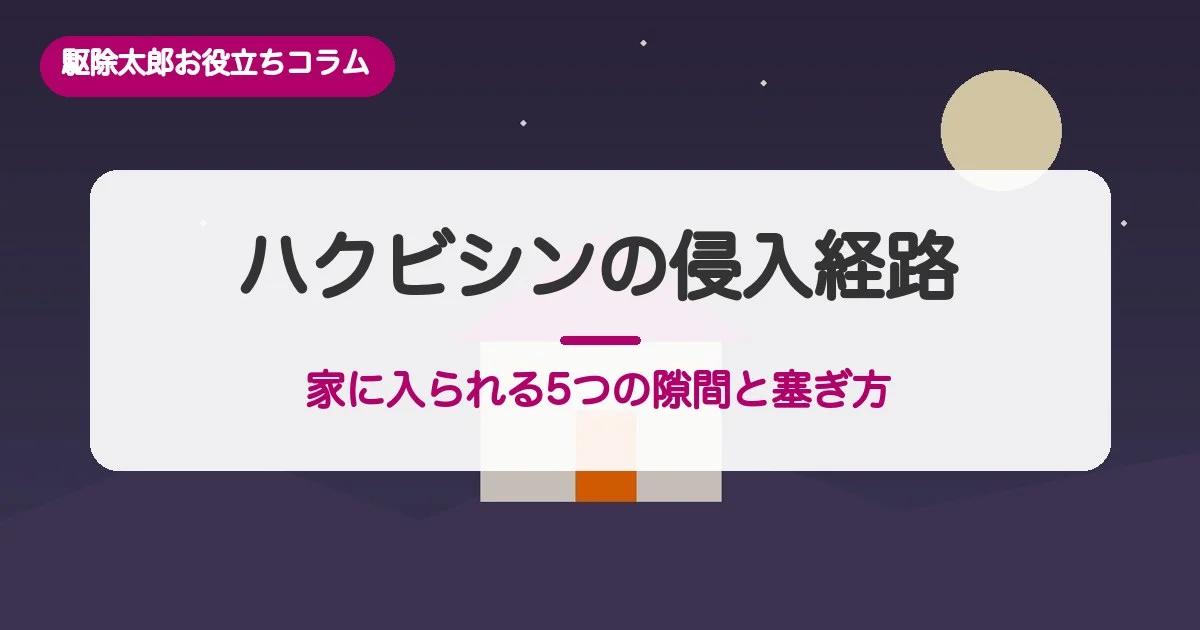 ハクビシンの侵入経路：家に入られる5つの隙間と塞ぎ方