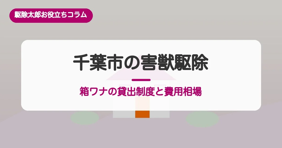 千葉市の害獣駆除／箱ワナの貸出制度と費用相場・相談窓口