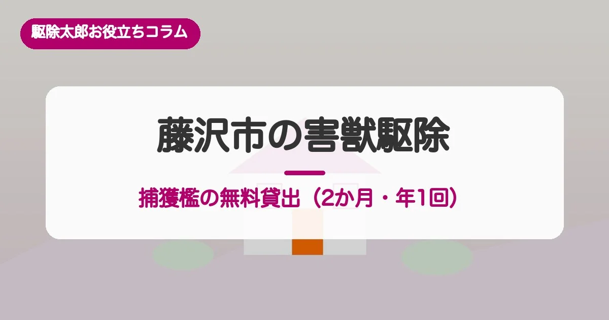 藤沢市の害獣駆除｜捕獲檻の無料貸出（2か月・年1回）の条件と費用相場