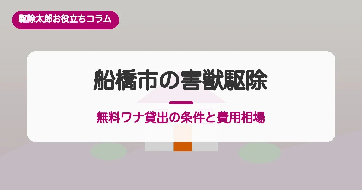 船橋市の害獣駆除｜無料ワナ貸出の条件と費用相場・相談窓口