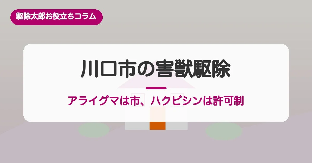川口市の害獣駆除｜アライグマは市が敷地内に罠、ハクビシンは？費用相場も