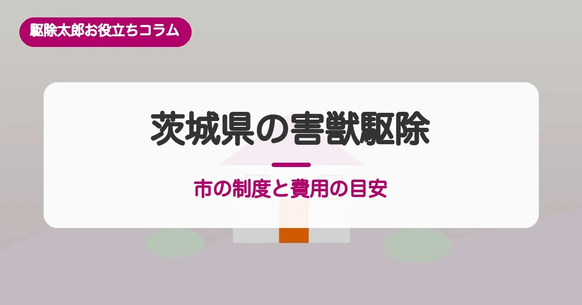 茨城県の害獣駆除｜アライグマ捕獲7,458頭と市の制度
