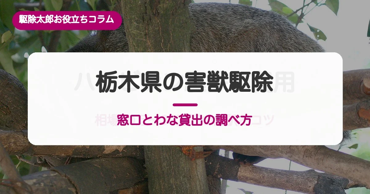 栃木県の害獣駆除｜捕獲おりの無料貸出と市ごとの期間の違い