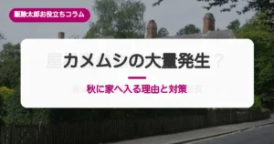 カメムシが秋に家へ入る理由｜飛来の時期とすき間の対策
