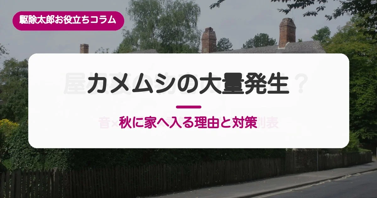 カメムシが秋に家へ入る理由｜飛来の時期とすき間の対策