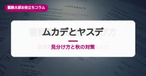 ムカデとヤスデの見分け方｜咬まれたときと焼いてはいけない理由