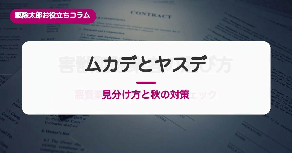 ムカデとヤスデの見分け方｜咬まれたときと焼いてはいけない理由