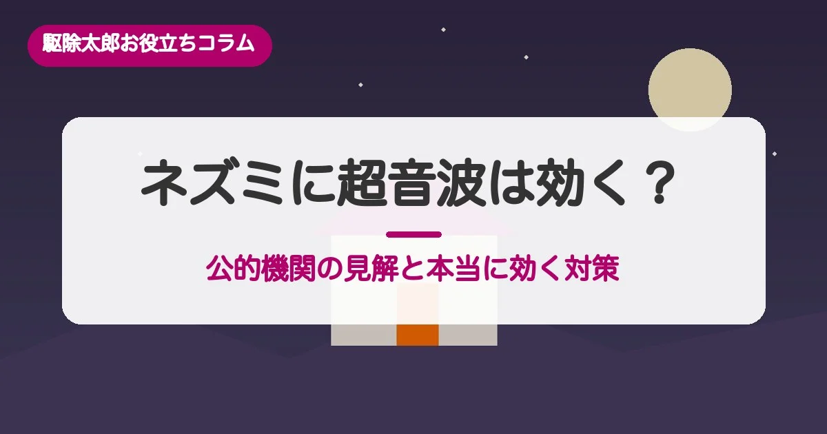 ネズミに超音波は効く？公的機関の見解と本当に効く対策