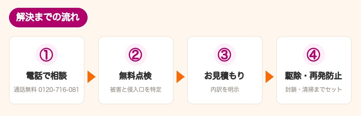 解決までの流れ：電話で相談、無料点検、お見積もり、駆除・再発防止