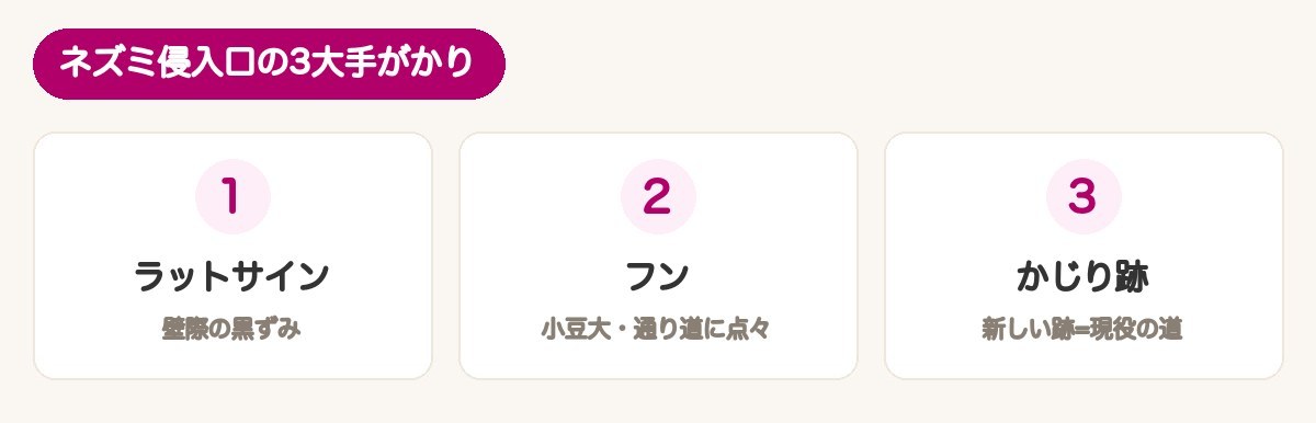 ネズミ侵入口の3大手がかりの図解