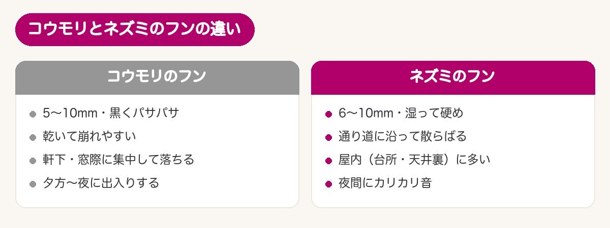 コウモリのフンとネズミのフンの違い