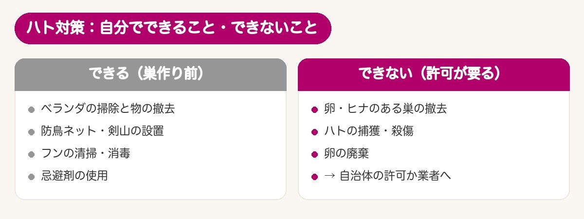 ハト対策：自分でできること（巣作り前）・できないこと（許可が要る）