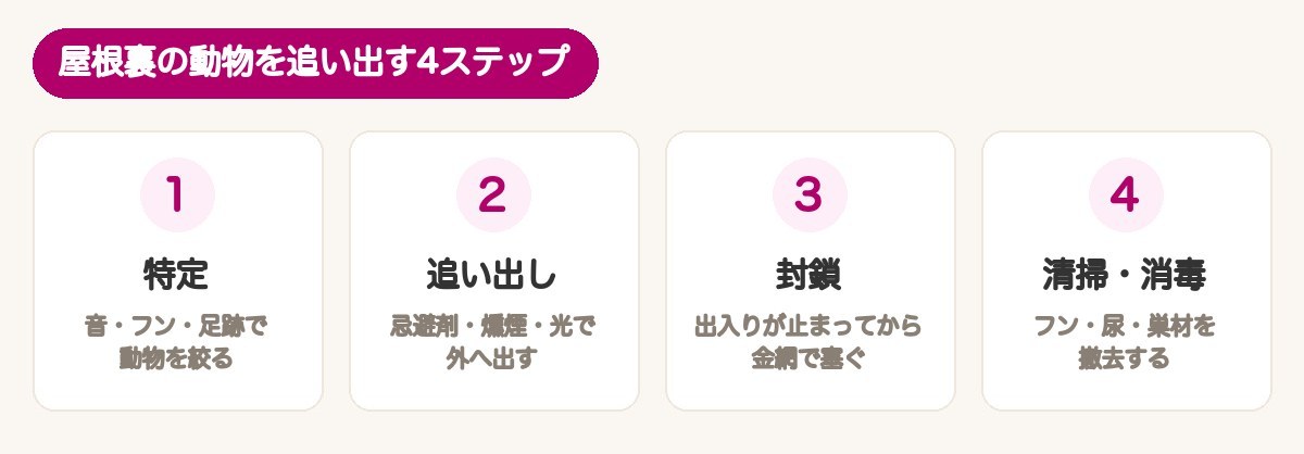 屋根裏の動物を追い出す4ステップ：特定・追い出し・封鎖・清掃消毒