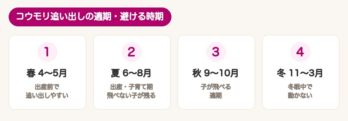 コウモリ追い出しの適期と避ける時期：春4〜5月適期・夏6〜8月子育て期・秋9〜10月適期・冬11〜3月冬眠