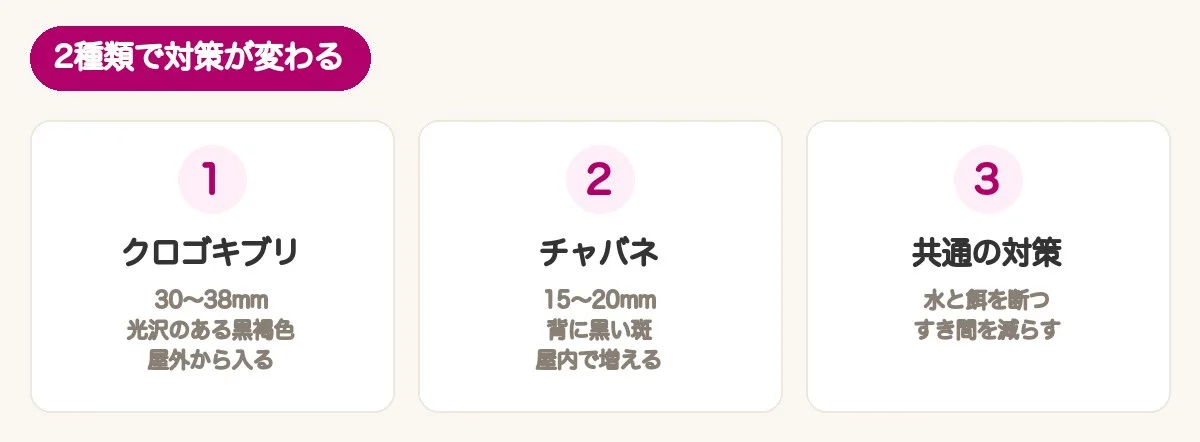 2種類で対策が変わる：クロゴキブリは屋外から、チャバネゴキブリは屋内で増える、共通の対策は水と餌を断つこと