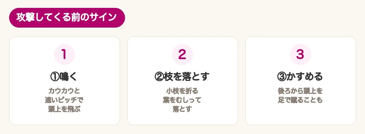 攻撃してくる前のサイン：速いピッチで鳴く、枝や葉を落とす、後ろから頭上をかすめる