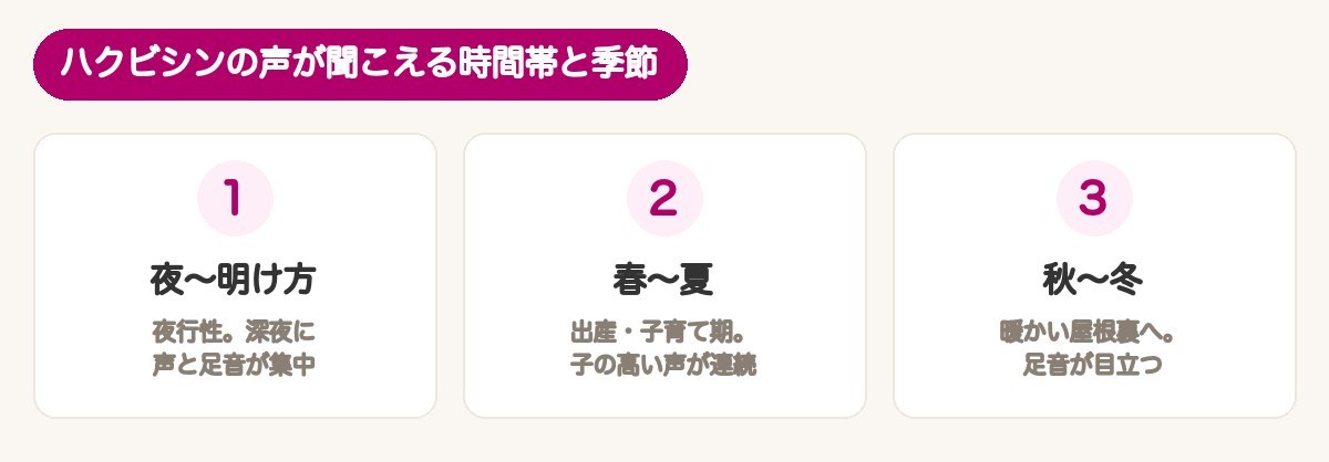 ハクビシンの鳴き声が聞こえる時間帯と季節